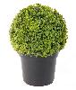 Plante artificielle Buis en pot - intérieur extérieur -H.38 cm vert