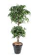 Arbre artificiel Ficus double boule - décoration intérieure - H.150cm