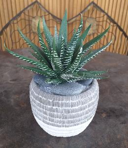Plante artificielle Aloe en piquet - cactus artificiel intérieur - H.15cm vert