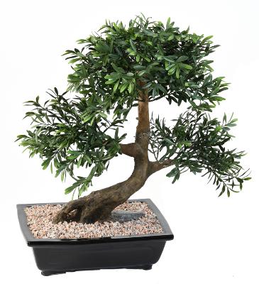 Bonsaï Black Willow arbre miniature en coupe - plante synthétique intérieur - H.50cm