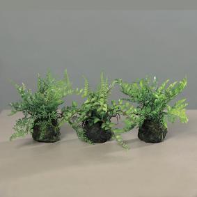 Assortiment de 3 Fougères artificielles socle mousse - plante d'intérieur - H.19cm vert