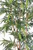 Bambou artificiel New 6 cannes naturelles - intérieur - H.180cm vert