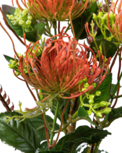 Fleur artificielle tige de Protea - création florale intérieur - H.82cm vert brique