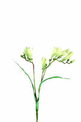 Fleur coupée artificielle Freesia - création de bouquet - H.60 cm blanc