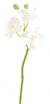 Mini Orchidée artificielle Phalaenopsis 3 fleurs - Fresh Touch - H.45 cm blanc