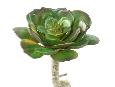 Mini plante artificielle Succulente ROND - cactus artificiel intérieur - H.15 cm