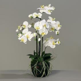 Fleur artificielle Orchidée Phalaenopsis en motte - plante d'intérieur - H.77cm crème