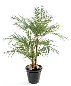 Palmier artificiel Areca 3 troncs - plante pour intérieur - H.170cm vert