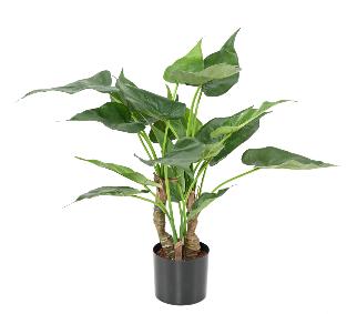 Plante artificielle Alocasia Cucullata - plante tropicale d'intérieur - H.50cm