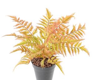 Plante artificielle Fougère plastique en piquet - décoration d'intérieur - H.45cm marron