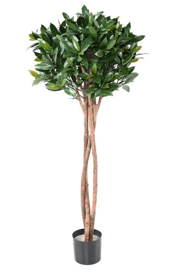 Plante artificielle Laurier Nobilis UV résistant - intérieur extérieur - H.130cm vert