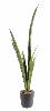 Plante artificielle Sansevieria piquet - succulente pour intérieur - H. 105cm vert