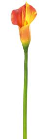 fleur artificielle Cala natural touch - haute qualité - H.80 cm orange