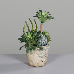 Composition florale artificielle de succulentes en pot - plante d'intérieur - H.25cm