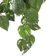 Feuillage artificiel chute de Pothos en piquet - Tergal UV extérieur - H.75cm vert