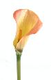 Fleur artificielle Calla Lily - création bouquet - H.90 cm rose orange
