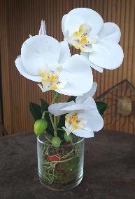 Fleur artificielle Orchidée Phalaenopsis dans un pot en verre - plante d'intérieur - H.42cm crème