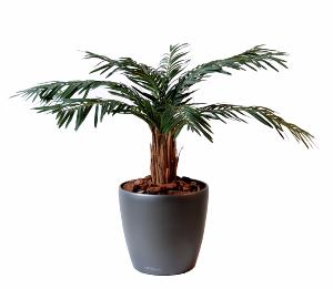 Palmier artificiel Cycas Palm - plante intérieur - H.80cm vert
