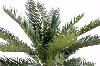 Palmier artificiel Cycas tronc - plante intérieur extérieur - H.90cm vert