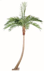 Palmier coconut courbe new - plante artificielle d'intérieur - H.400cm