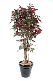 Plante artificielle Capensia Nice - décoration d'intérieur - H.170cm vert rouge