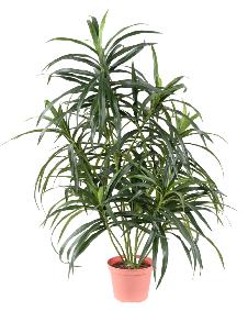 Plante artificielle Dracaena Anita - décoration d'intérieur - H.75cm vert