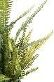 Plante artificielle Fougère Boston Plast. en pot - intérieur - H.75cm vert