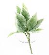 Plante artificielle Hosta en piquet -plante d'intérieur - H.60cm vert blanc