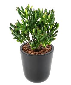 Plante artificielle Succulente Mini - cactus artificiel extérieur - H.18cm