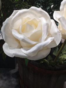 Rose artificielle géante Aliénor - décoration d'intérieur - H.108cm Ø.28cm blanche