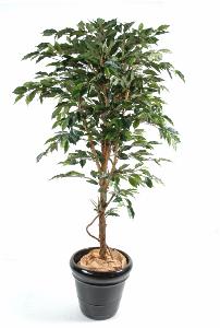 Arbre artificiel Ficus tronc simple - plante synthétique intérieur - H.210cm