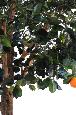 Arbre artificiel fruitier Oranger - intérieur - H.210cm vert orange