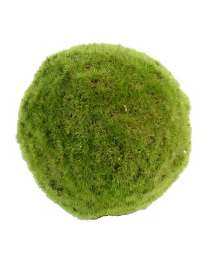 Boule de mousse artificielle - plante d'intérieur - H.18 cm vert