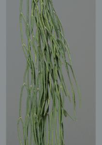 Feuillage artificiel chute de succulente - plante retombante d'intérieur - H.62cm