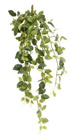 Feuillage artificiel piquet Fittonia - plante pour intérieur - H.80cm panaché