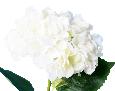 Fleur artificielle Hortensia - création bouquet fleur coupée - H.55cm blanc