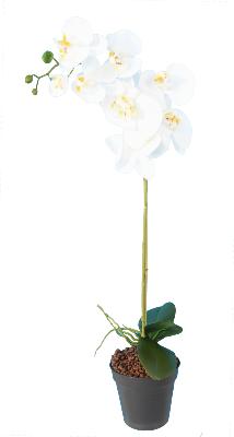 Fleur artificielle Orchidée Phalaenopsis - 8 fleurs et 4 boutons - H.76cm blanc