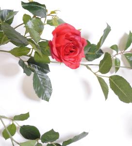Fleurs artificielles Guirlande royale de rose - décoration d'intérieur - H.140cm rouge