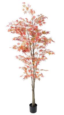 Plante artificielle Aralia automne - arbre synthétique pour intérieur - H.220cm