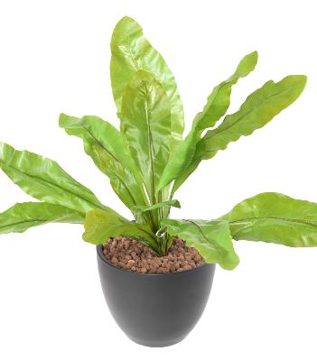 Plante artificielle Asplenium en piquet -plante d'intérieur - H.70cm vert