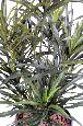 Plante artificielle Dracaena Anita - décoration d'intérieur - H.45cm vert