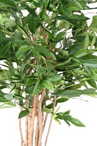 Plante artificielle Dracaena Surculosa - plante verte d'intérieur - H.155cm