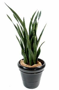 Plante artificielle Sansevieria 30 Feuilles - succulente pour intérieur - H. 110cm vert
