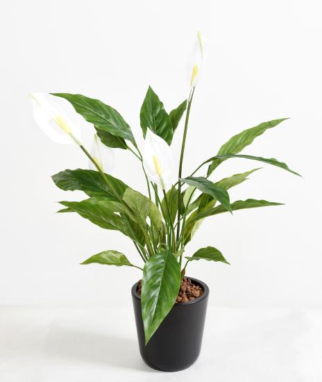 Plante artificielle Spathiphyllum 4 Fleurs - décoration d'intérieur - H.65cm