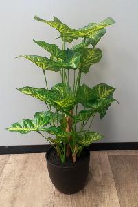 Plante artificielle Syngonium en pot - décoration d'intérieur - H.50cm vert foncé
