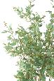 Arbre artificiel Eucalyptus - plante synthétique d'intérieur - H.160cm vert