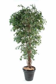 Arbre artificiel Ficus lianes petites feuilles - plante d'intérieur - H.180cm vert