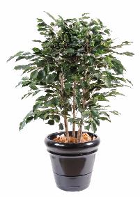 Arbuste artificiel Ficus Exotica buisson - plante d'intérieur - H.110cm vert