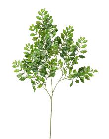 Feuillage artificiel Branche d'Acacia - composition florale - H.70 cm vert