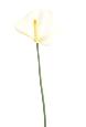 Fleur artificielle Anthurium - décoration florale - H.60cm blanc